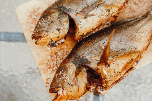 Fisch in Salzlake einlegen zum Räuchern