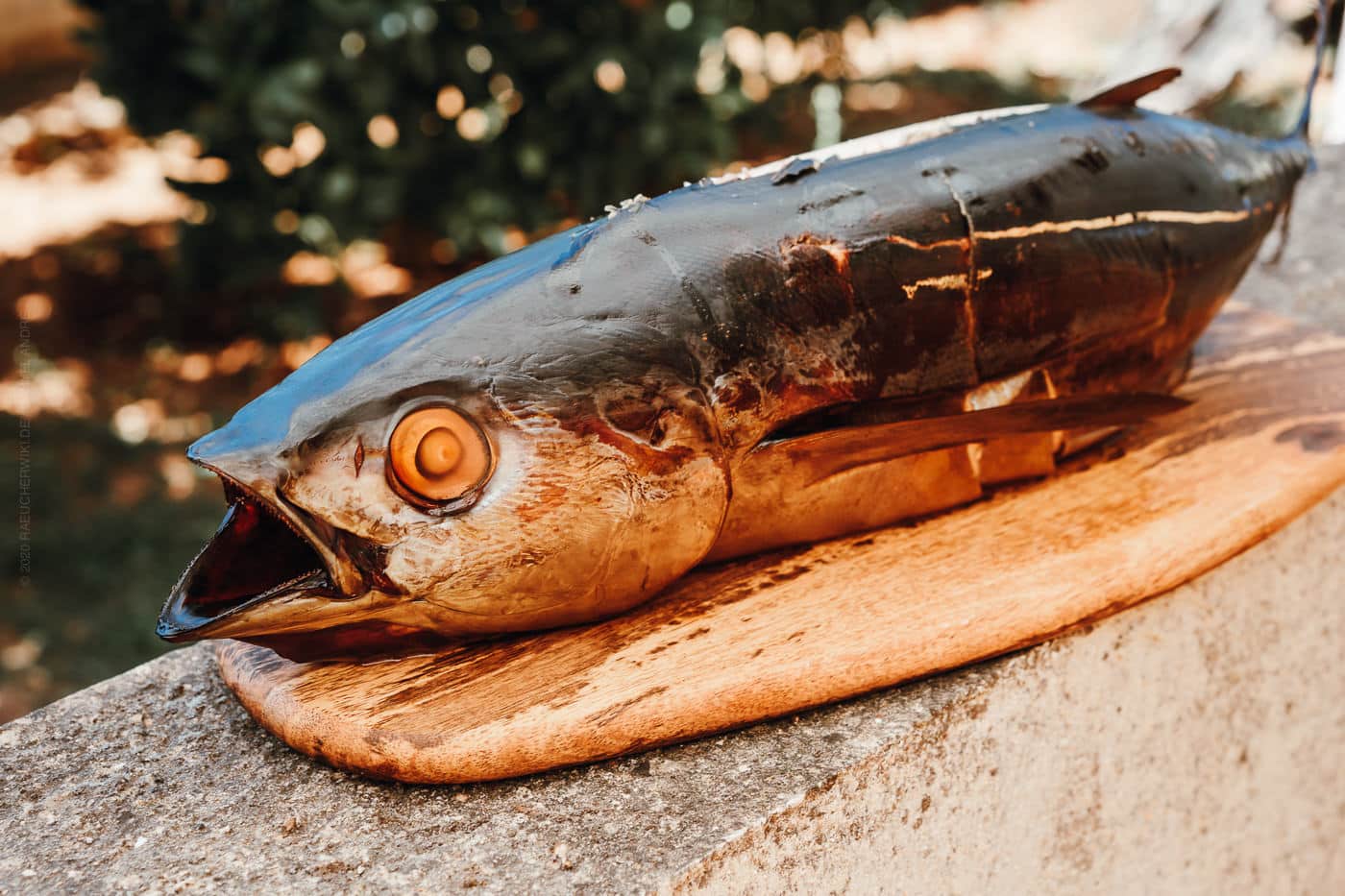 Ein ganzer Thunfisch aus dem Heißrauch