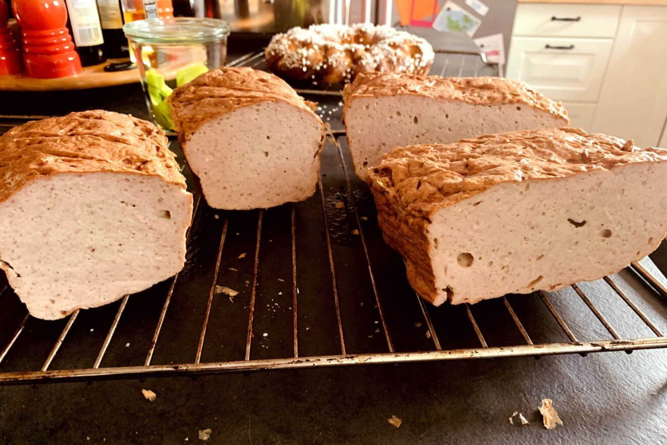 Hausgemachte Blutwurst mit Trockenblut | Kochwurst