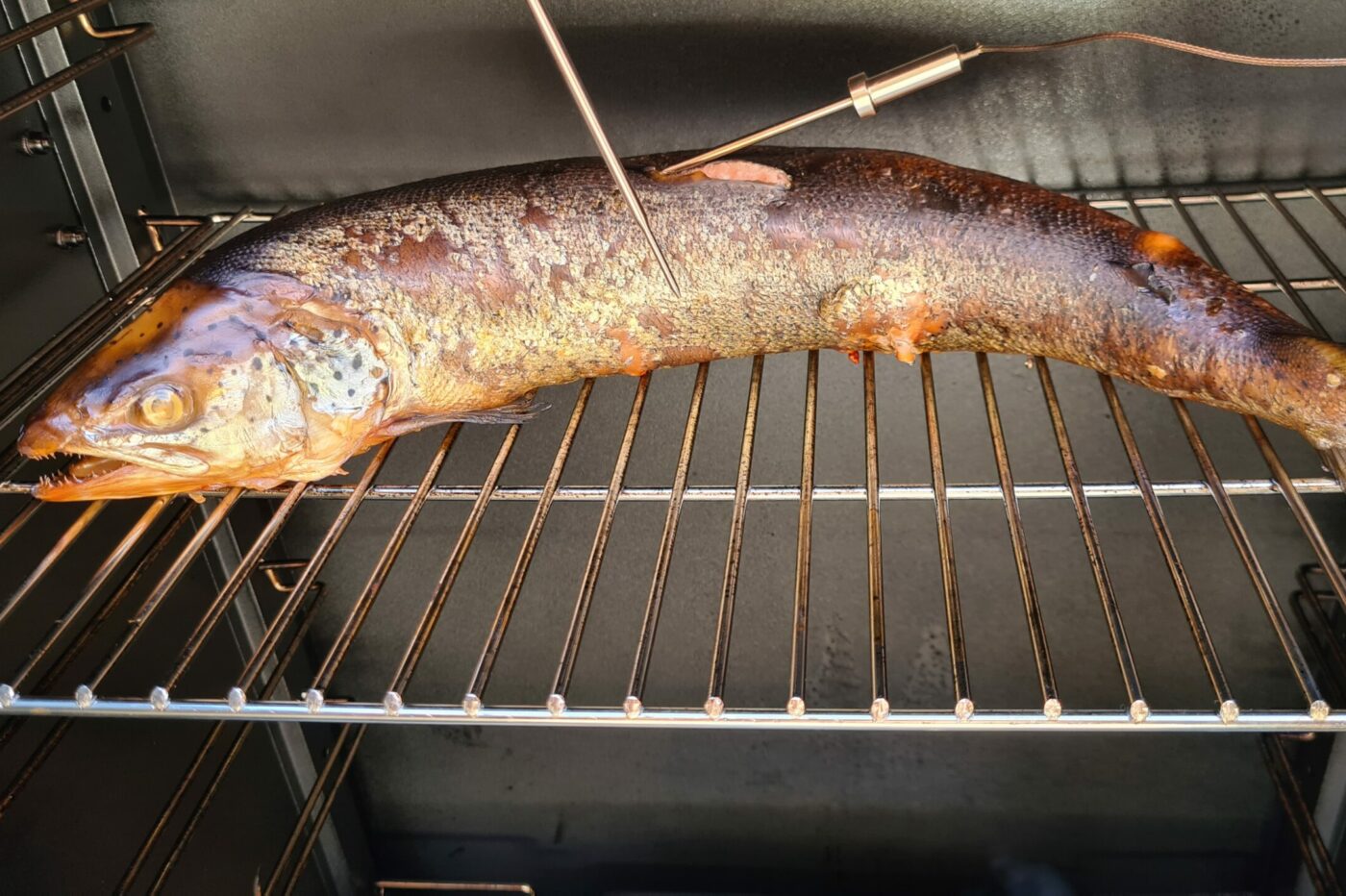 Baccis heißgeräucherter Lachs Räucherwiki