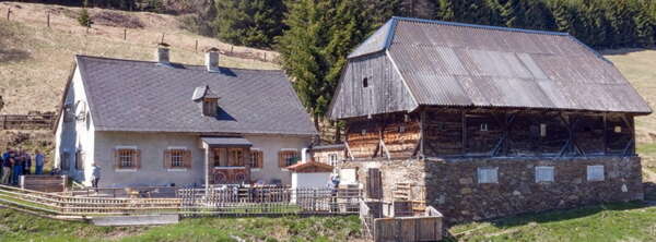 Schinkenwurstler